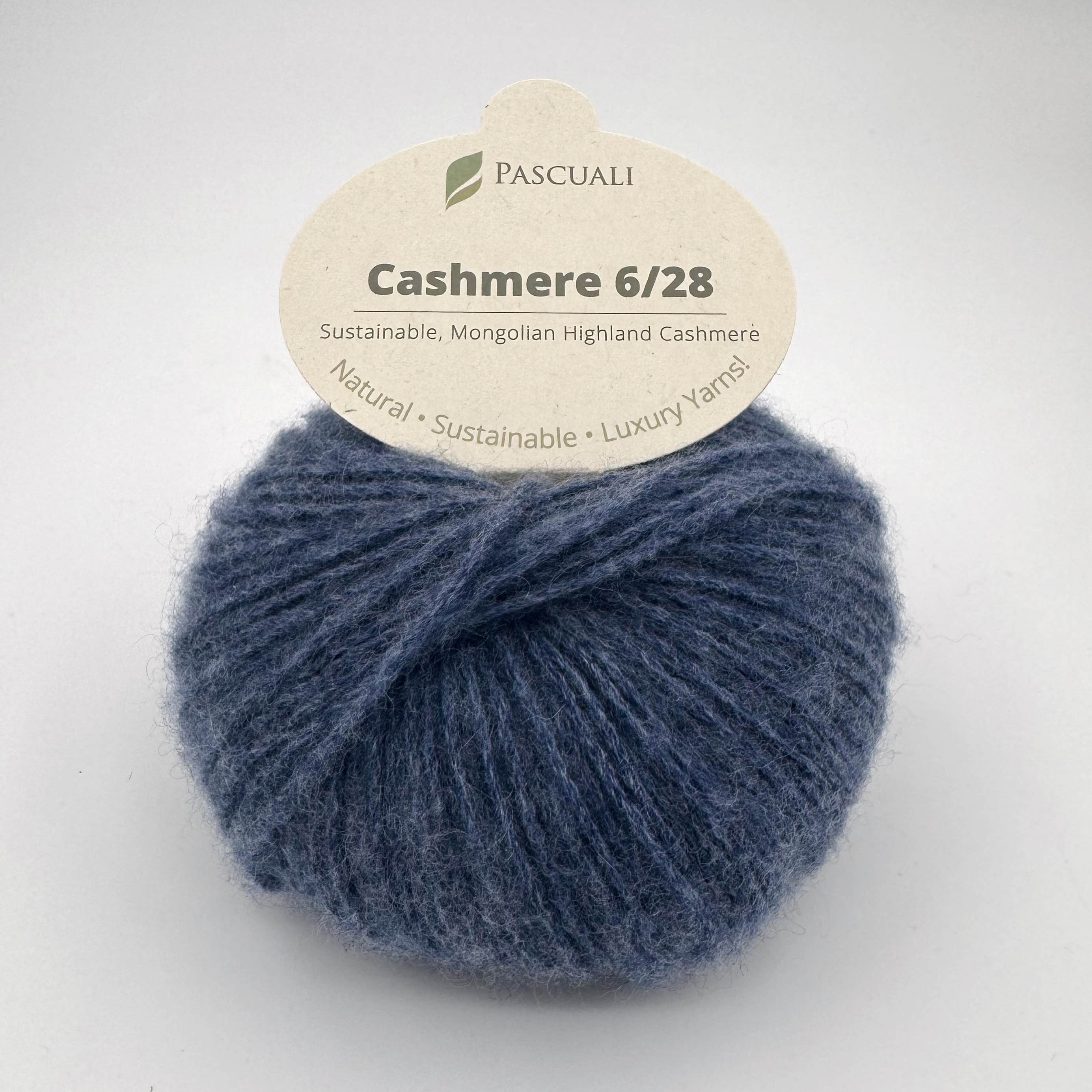 Pascuali Cashmere 6/28