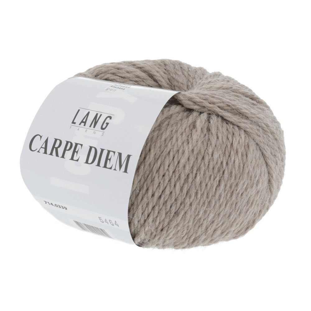Lang Yarns Carpe Diem
