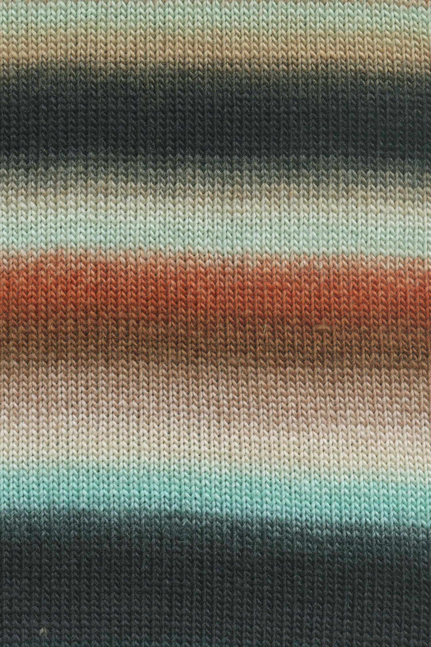 Lang Yarns Mille Colori Baby