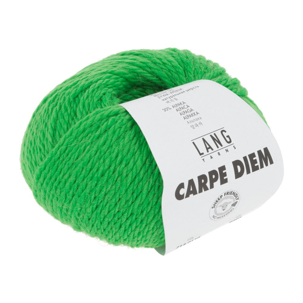 Lang Yarns Carpe Diem