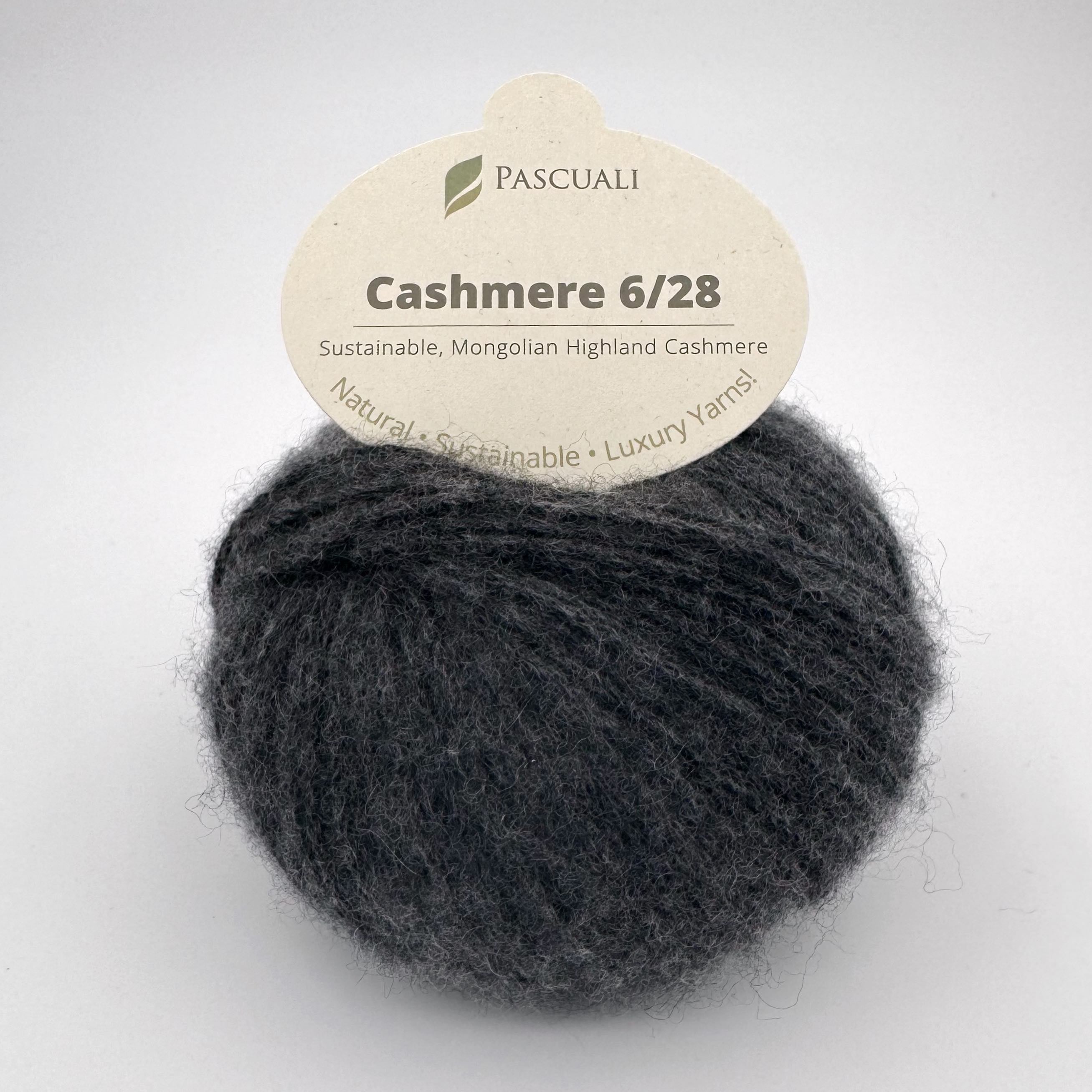 Pascuali Cashmere 6/28