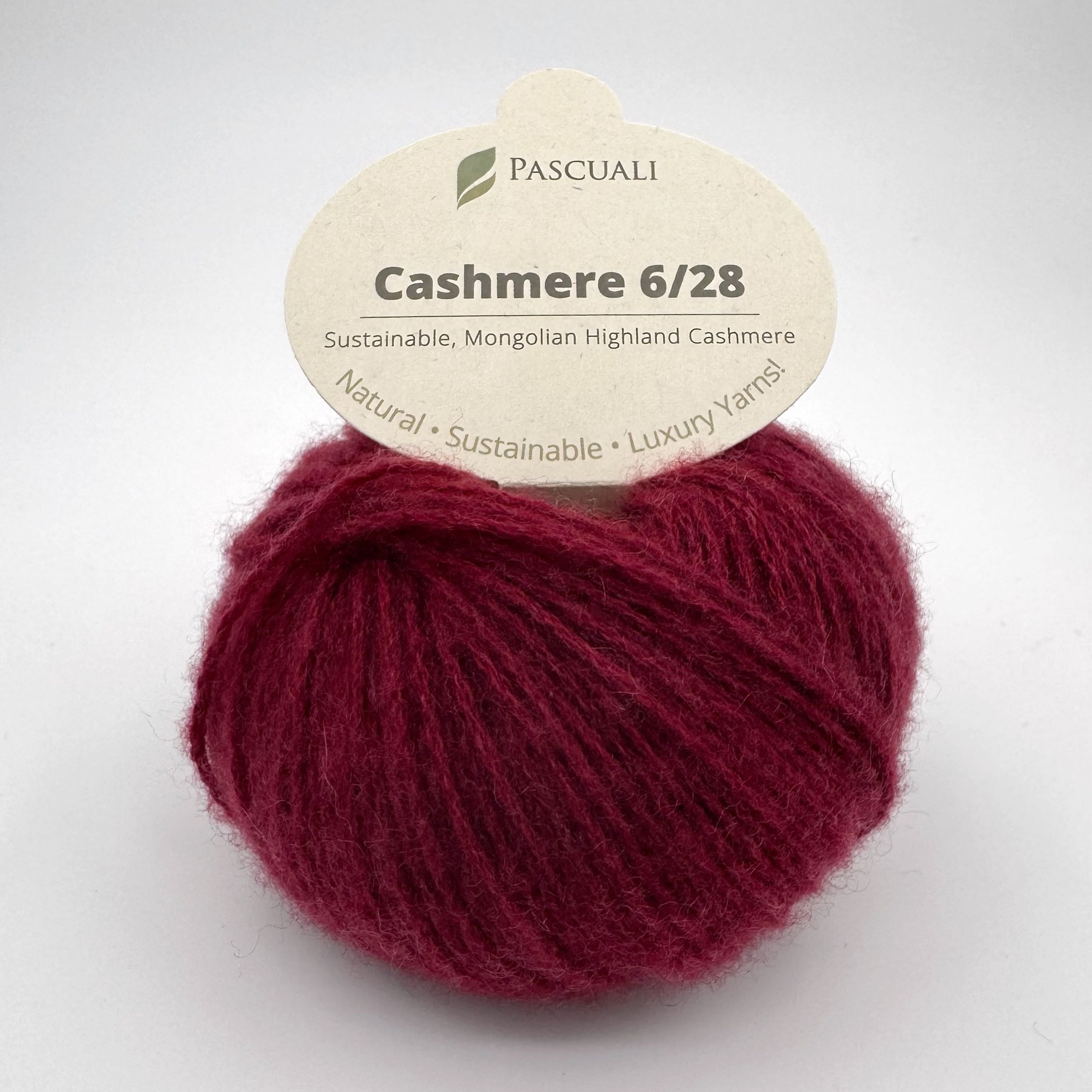 Pascuali Cashmere 6/28