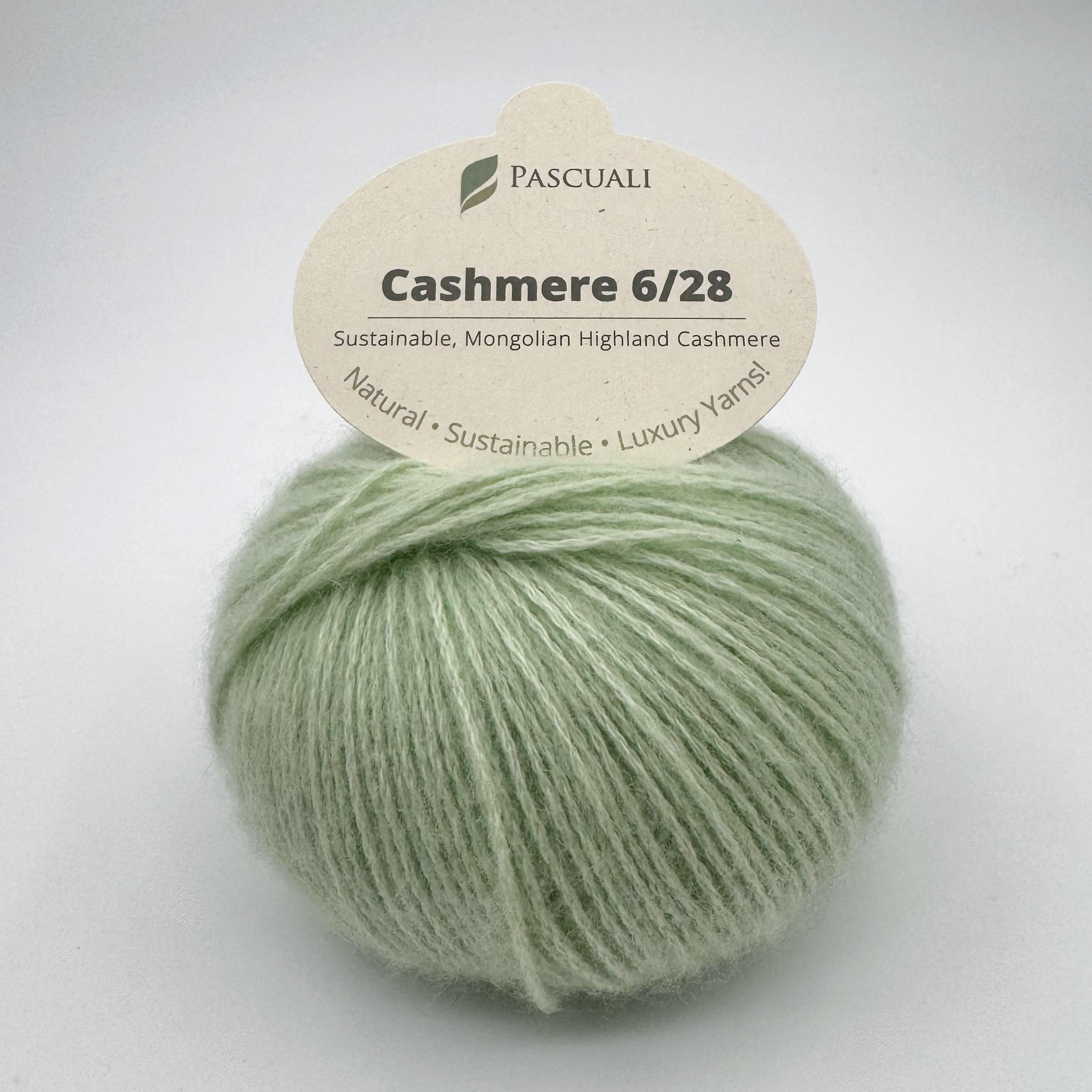 Pascuali Cashmere 6/28