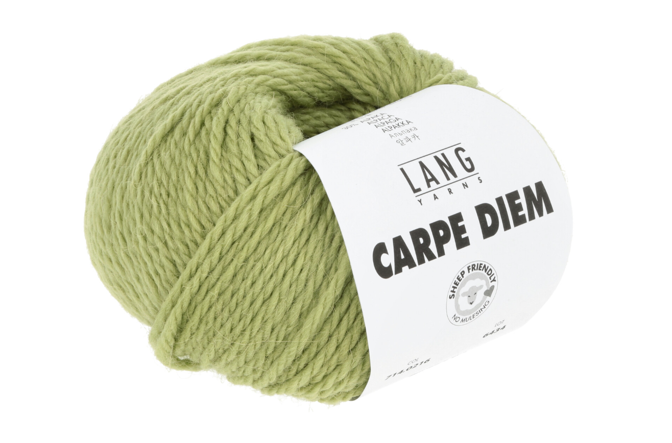 Lang Yarns Carpe Diem